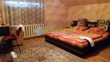 vila-de-vanzare-in-centru-6-camere-3-garaje-3